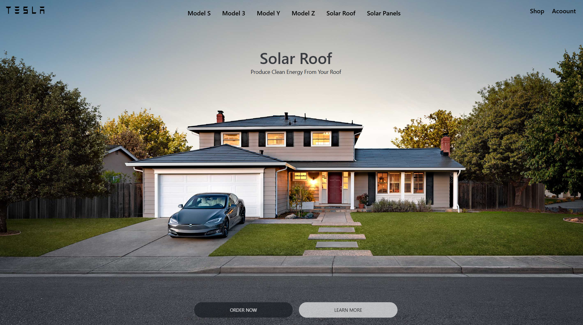 Tesla Landing Page